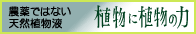 ���悯������ �A���ɐA���̗�
