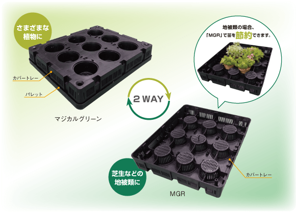 カセット式多機能緑化システム マジカルグリーンは両面使用でき、地被類の場合、裏面(MGR)で苗を節約できます。