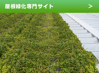 屋根緑化専門サイト
