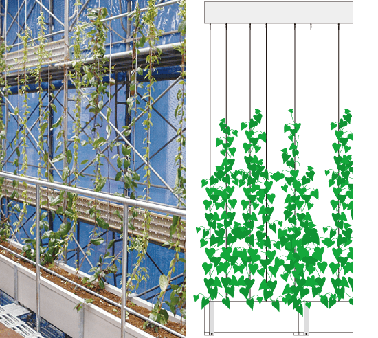 ワインリーフスクリーン 登はん型 製品ラインナップ 壁面緑化専門サイト 日本地工